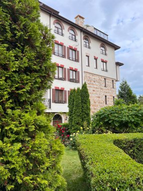 Bulgar gülü bahçede