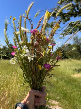 Yaz kır çiçekleri buketi