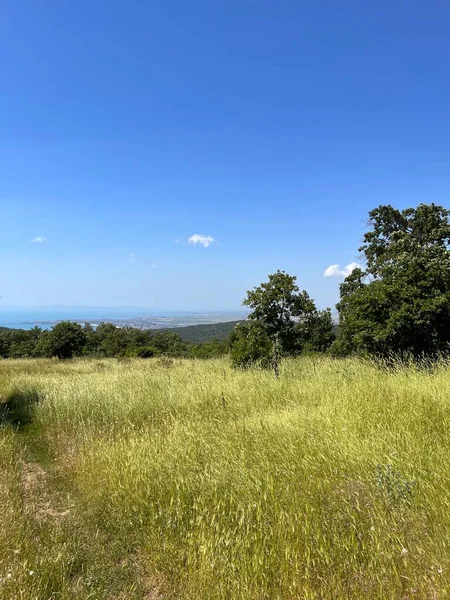 mountains above the sea