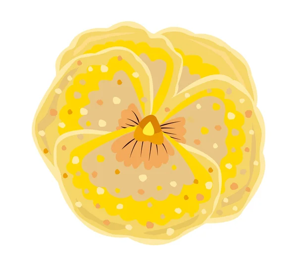 Yellow Beige Bud Pansy Flower — Stockvektor