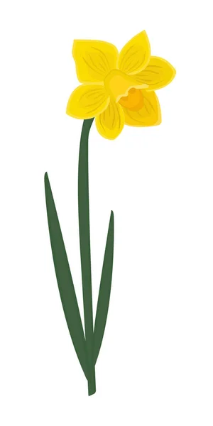 Bright Single Yellow Daffodil — стоковый вектор