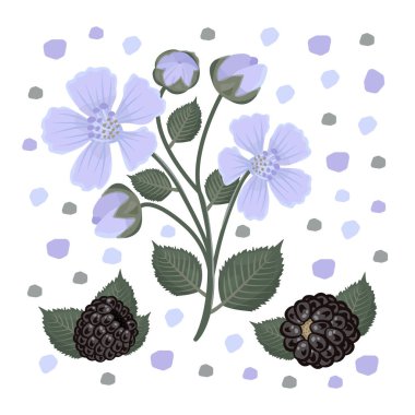 Böğürtlen ve çiçek