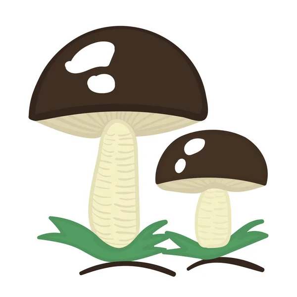 Two Mushrooms Colorful Vector Doodle — Stock Vector