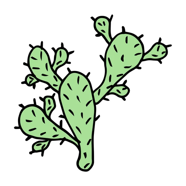Tropiska Kaktusar Söta Klotter — Stock vektor
