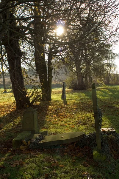 Sunny Autumn Day Forest Graveyard — Foto Stock