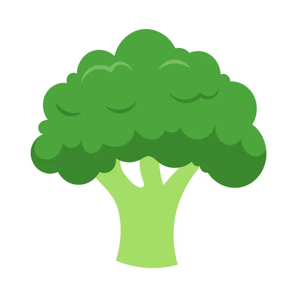 yeşil brokoli tüm insanlar için sağlıklı yiyecekler