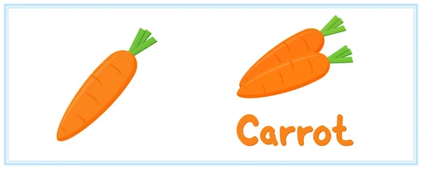 Taze havuç sağlıklı yiyecek vitaminleri