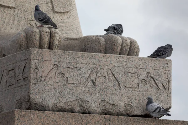 Pigeons Ancient Egyptian Statue Sphinx Embankment Neva River Petersburg Russia — Stock Photo, Image