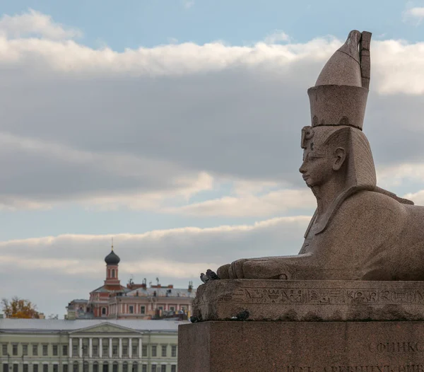 Ancienne Statue Égyptienne Sphinx Sur Remblai Rivière Neva Saint Pétersbourg — Photo