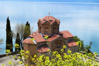 Kuzey Makedonya 'nın Ohri kentindeki çiçekli bir evin yakınındaki taş blokta oturan küçük tüylü bir köpek görülüyor