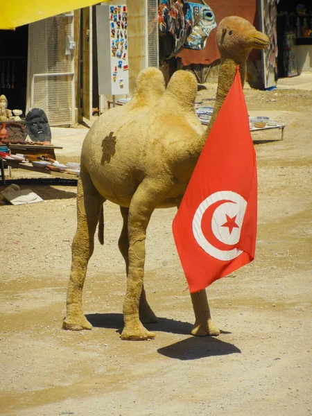 Peluche Jouet Chameau Avec Drapeau Tunisie Dans Des Marchés Souvenirs — Photo