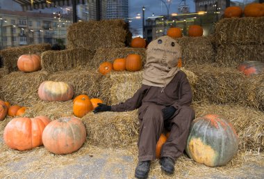 Pumpkin among beautiful pumpkins, a funny scarecrow on a haystack. Autumn festival, Halloween. Festive decor.
