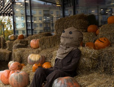 Pumpkin among beautiful pumpkins, a funny scarecrow on a haystack. Autumn festival, Halloween. Festive decor.