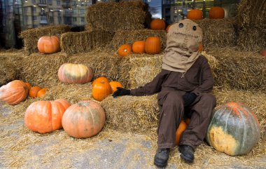 Pumpkin among beautiful pumpkins, a funny scarecrow on a haystack. Autumn festival, Halloween. Festive decor.