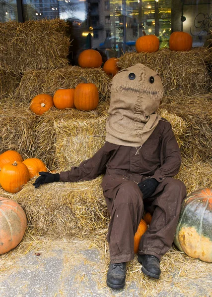 Pumpkin among beautiful pumpkins, a funny scarecrow on a haystack. Autumn festival, Halloween. Festive decor.