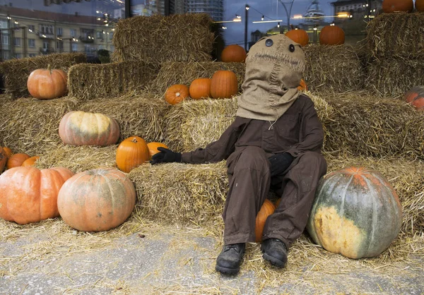 Pumpkin among beautiful pumpkins, a funny scarecrow on a haystack. Autumn festival, Halloween. Festive decor.