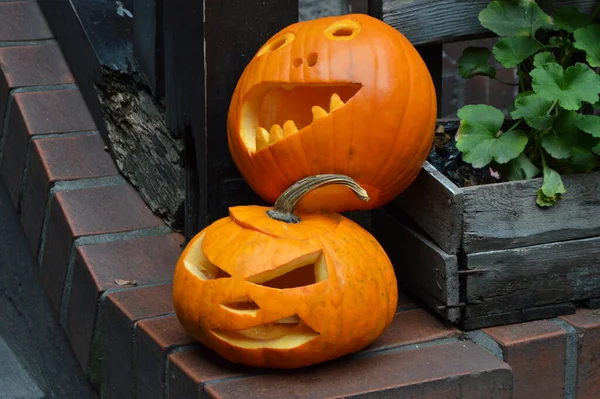 Halloween Pumpkins Pumpkins Scare People Have Fun Autumn Festival Halloween — Stockfoto