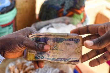 Cash, money or Nigerian currency exchanging hands during a business transaction with edible food in the background