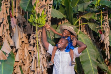 A happy African father carrying his girl child while trying to harvest plantain from the banana trees in his farm