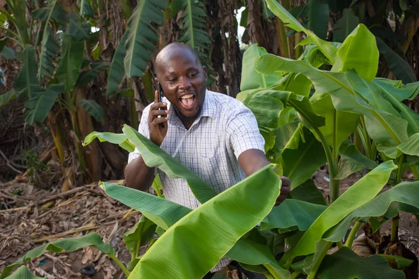 Ein Glücklicher Afrikanischer Nigerianer Telefoniert Mit Einem Smartphone Während Bananenblätter — Stockfoto