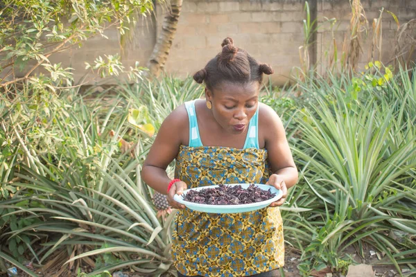 Smiling African Woman Pineapple Garden Farm Spreading Dried Hibiscus Flowers — Foto Stock