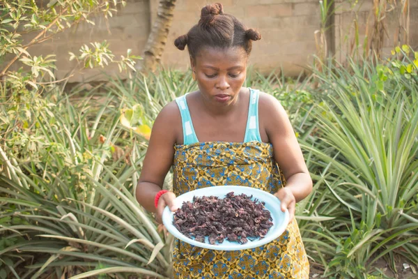 Ananas bahçesinde gülümseyen Afrikalı kadın tepsiye kurumuş amber çiçeği serpiyor.