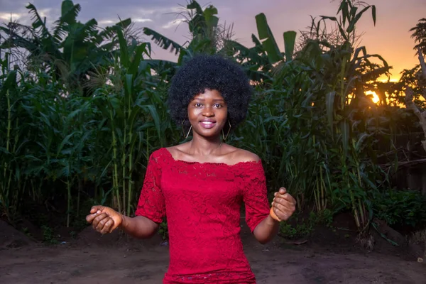 A cool and pretty African lady wearing a red dress and afro hair style happily posing for photograph on a green maize farmland or corn plantation that is almost due for crop harvest