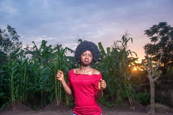 A cool and pretty African lady wearing a red dress and afro hair style hapily posing for photograph on a green maize farmland or corn plantation that is almost due for crop harvest