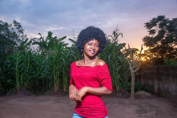 A cool and pretty African lady wearing a red dress and afro hair style hapily posing for photograph on a green maize farmland or corn plantation that is almost due for crop harvest