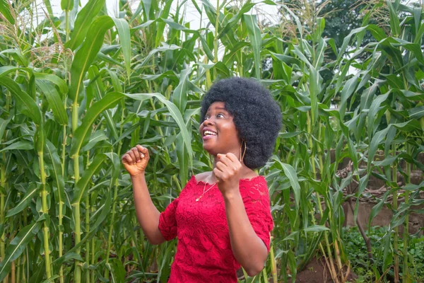 A cute African lady wearing a red dress and afro hair style happily celebrating with her fist clenched in jubilation on a green maize farm or corn plantation