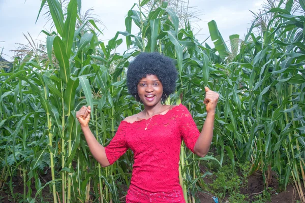 Cute African Lady Wearing Red Dress Afro Hair Style Happily — Foto Stock