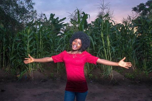 A happy cute African lady wearing a red dress and afro hair style spreading her hands wide in jubilation on a green maize farm or corn plantation at sunset