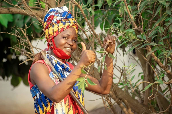 Egy Mosolygós Gyönyörű Afrikai Női Farmer Piros Orr Maszkkal Felemeli — Stock Fotó