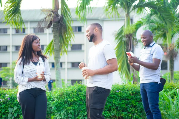 African friends consisting of a guy and a lady interacting together with their friend chatting on phone beside them in a beautiful outdoor park