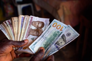 African hands holding multiple spread nigerian currency, money or cash beside two notes of american hundred dollar