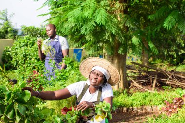 African female and male gardener, florist or horticulturists tending to a garden filled with variety of colorful flowers