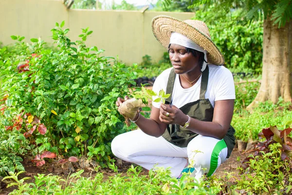 African Female Gardener Florist Horticulturist Wearing Apron Hat Working While — Stockfoto