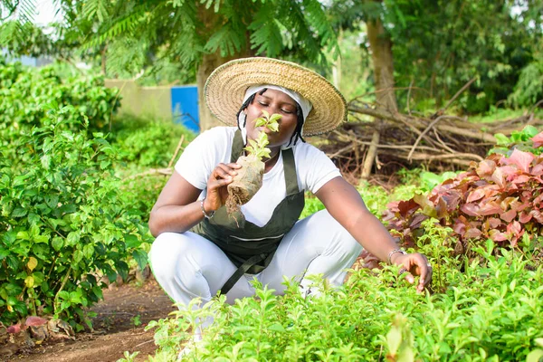 African Female Gardener Florist Horticulturist Wearing Apron Hat Working Green — Foto Stock