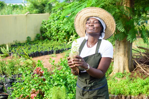 Happy African Female Gardener Florist Horticulturist Wearing Apron Hat Holding — Stock Photo, Image