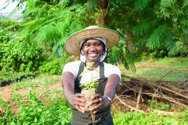 Happy African Female Gardener Florist Horticulturist Wearing Apron Hat Holding — Stock Photo, Image