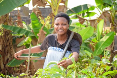 An African female farmer, business woman or entrepreneur, happily tending to her vegetable garden on a farmland with a hoe on her shoulder