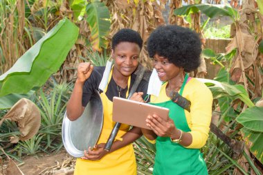 Two happy African female farmers, business women or entrepreneurs with nose mask, looking into a smart phone on a farm as they prepare for harvest and success of their farming business
