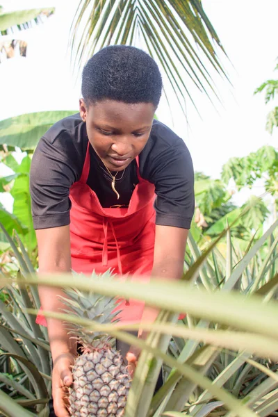 African Female Farmer Business Woman Entrepreneur Working Farm She Tend — Stockfoto