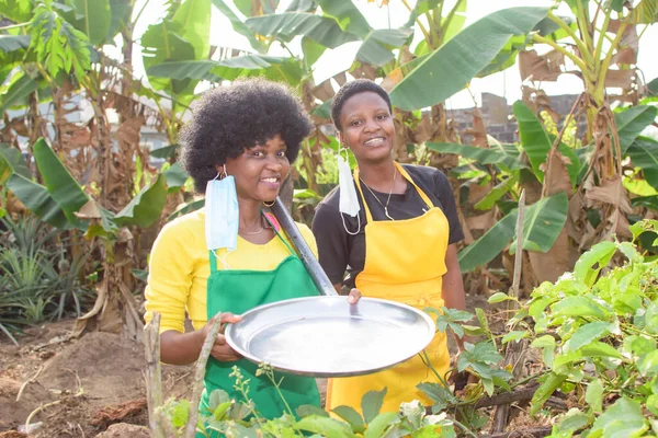 Two happy African female farmers, business women or entrepreneurs with nose mask working on a farm as they prepare for harvest and success of their agriculture business
