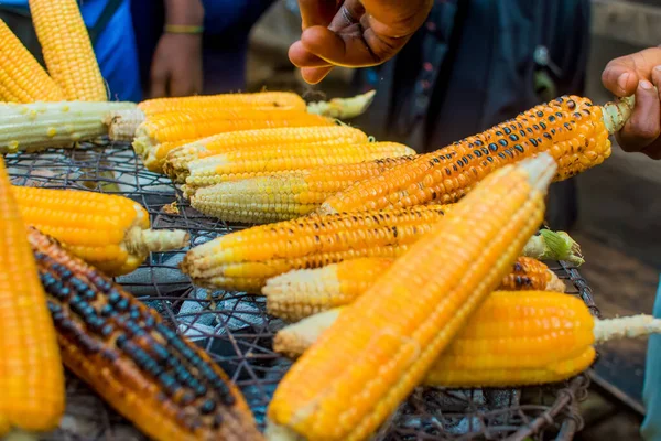 Close up shot of roasted and barbequed corns or maize displayed for sales by a seller for business and money making purposes