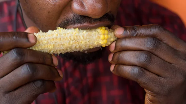 Mouth and hands of an African Nigerian male individual eating boiled corn or maize known to be a nutritious diet food
