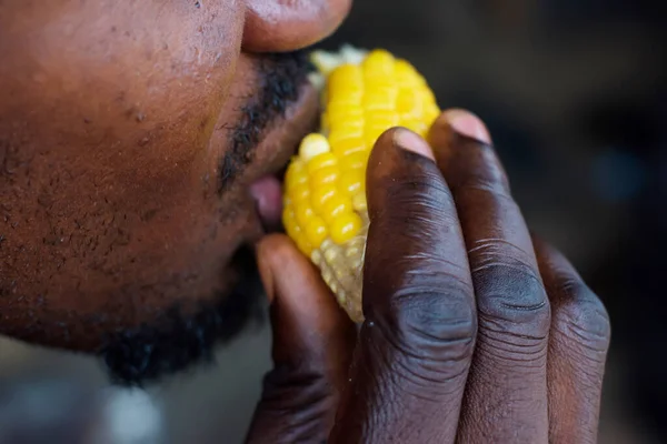 Mouth and hand of an African Nigerian male individual eating boiled corn or maize known to be a nutritious diet food