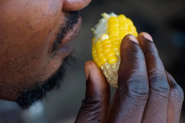 Mouth Hand African Nigerian Male Individual Eating Boiled Corn Maize — Stock fotografie