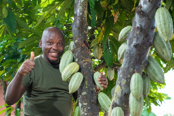 Ein Glücklicher Afrikanischer Bauer Händler Unternehmer Oder Geschäftsmann Aus Nigeria — Stockfoto