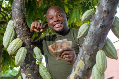 Nijeryalı mutlu bir Afrikalı erkek çiftçi, tüccar, girişimci ya da işadamı, elinde çiftlikteki bir kakao ağacına yakın durduğu için ellerinde çok sayıda Nijerya naira nakit para tutuyor.